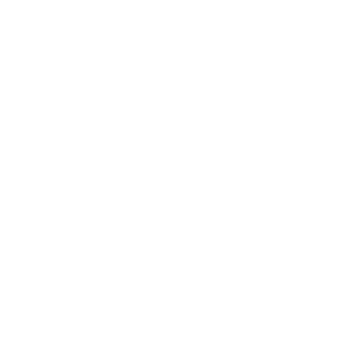 Distinctive Interior Design